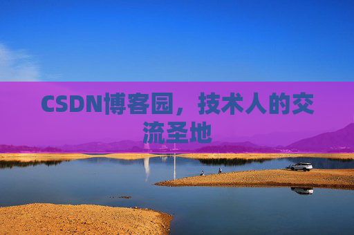 CSDN博客园，技术人的交流圣地